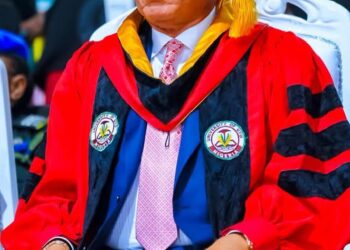 Fiscal discipline, revenue diversification critical for sustainable devt – Gov Eno